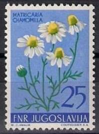 Matricaria chamomilla