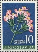 European Glabrous (Centaurium minus)