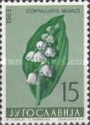 Lily of the Valley (Convallaria majalis)