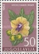 Black Henbane (Hyoscyamus Niger)