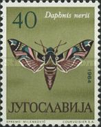Oleander Hawk-moth (Daphnis nerii)