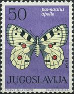 Apollo (Parnassius apollo)