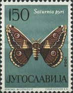 Giant Peacock Moth (Saturnia pyri)