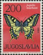 Swallowtail (Papilio machaon)