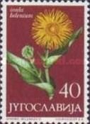 Inula Belenium