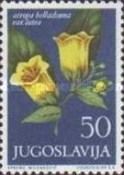 Atropa Belladonna