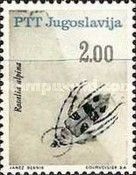 Rosalia Longicorn (Rosalia alpina)