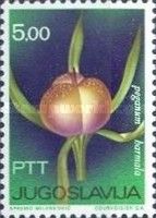 Peganum Harmala