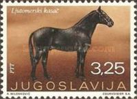 Ljutomer's Horse (Equus ferus caballus)