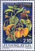 Impatiens Nolitangere L.
