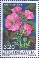 Malva alcea