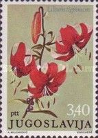 Lilium tigrinum