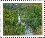 Tara River