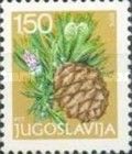 Larch (Larix sp.)