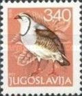 Rock Partridge (Alectoris graeca)