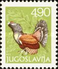 Western Capercaillie (Tetrao urogallus)
