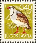 Rock Partridge (Alectoris graeca)