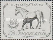 400th Anniversary of the Lipica Stud Farm
