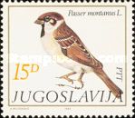 Eurasian Tree Sparrow (Passer montanus)