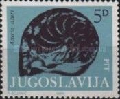 Fossil - Aturia aturi