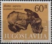 Fossil - Homo sapiens neanderthalesis
