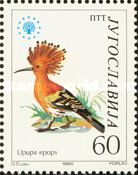 Eurasian Hoopoe (Upupa epops)
