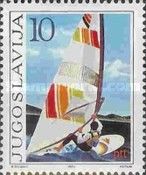 Windsurfer
