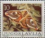 Small Emperor Moth (Eudia pavonia)