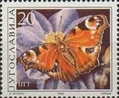 European Peacock (Inachis io)