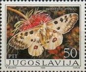 Apollo (Parnassius apollo)