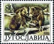 Brown Bear (Ursus arctos)