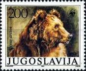 Brown Bear (Ursus arctos)