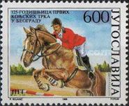Show Jumping
