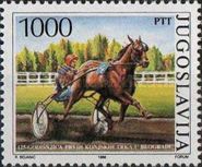 Harness Racing