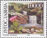 Mirusa Waterfalls