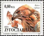 Long-legged Buzzard (Buteo rufinus)