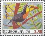 Toucan