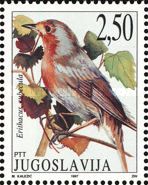 European Robin (Erithacus rubecula)