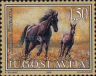 Horses (Equus ferus caballus)