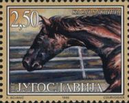 Horse (Equus ferus caballus)