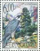 Kopaonik National Park, Peregrine Falcon (Falco peregrinus)