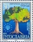 Concern for the protection of the natural environment