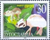 Cows