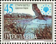 Nature Reserve Age-Begej River and Carska bara, White Stork