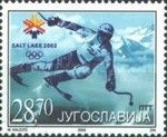 Skier