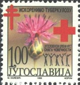 Red Cross and Red Crescent | Tuberculosis / TBC