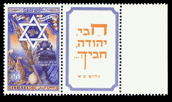 Star of David with Sukkot Symbols