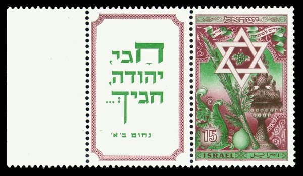 Star of David with Sukkot Symbols