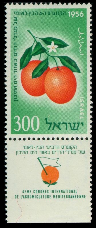 Jaffa Oranges