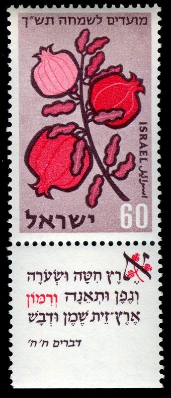 Pomegranates (Punica granatum)